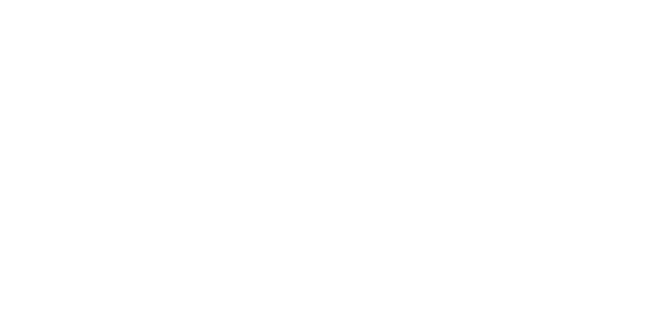 Junior Moraes